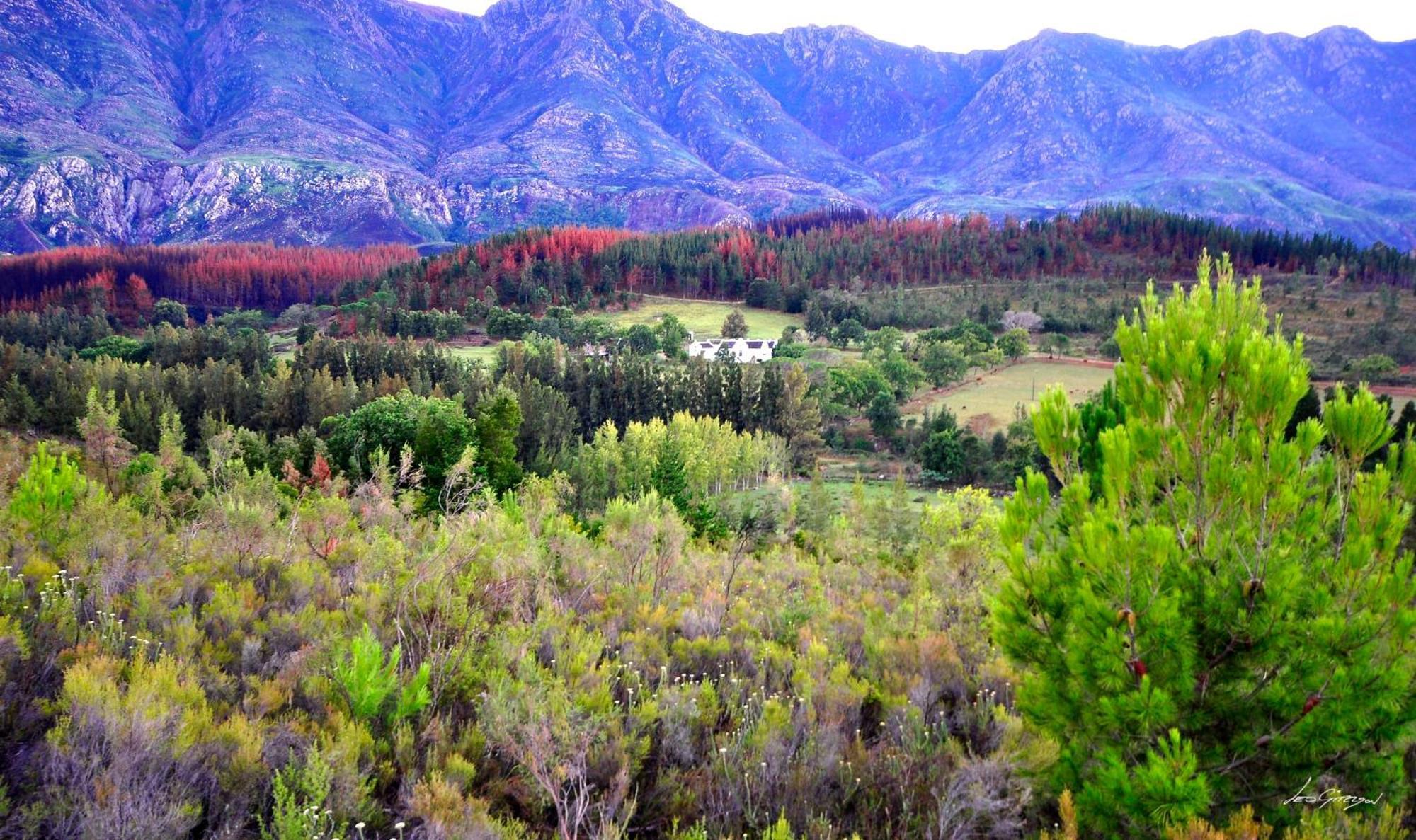A Hilltop Country Retreat Swellendam Eksteriør billede